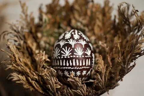 Easter egg in Jericho rose Stock Photos