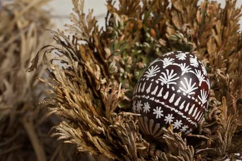Easter egg in Jericho rose Stock Photos