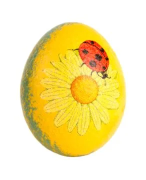 Easter egg with ladybug Stock Photos