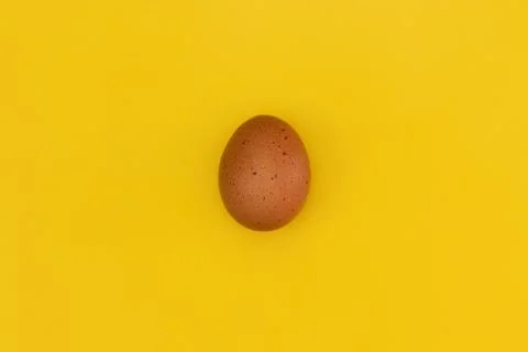 Easter egg laying on a yellow background 库存照片