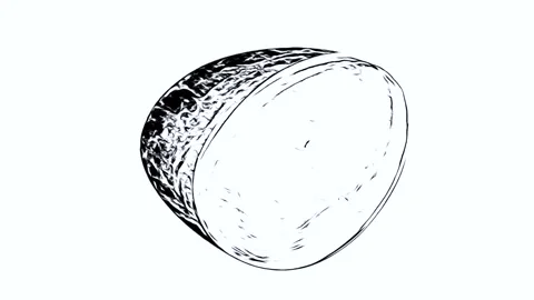 Easter Egg Line Drawing with Movement Stock Footage 305002028