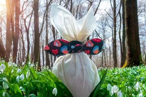 Easter egg lying in green flower against forest spring sunny background Stock Photos