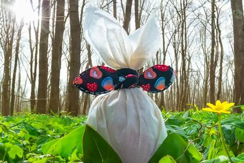 Easter egg lying in green flower against forest spring sunny background Stock Photos