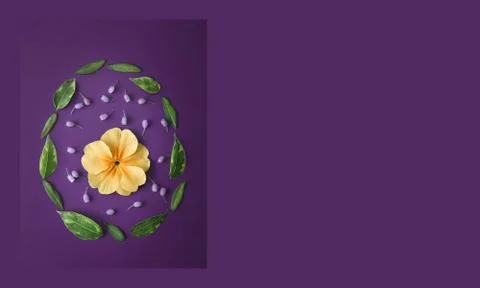 Easter egg made from flowers and leaves on violet background. Copy space. Foto stock