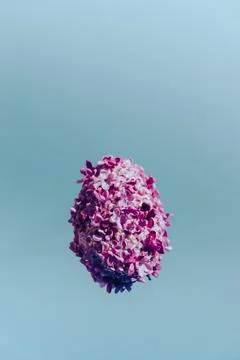 Easter egg made of lilac spring flowers levitating in pastel blue background Stock Photos
