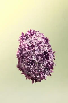 Easter egg made of lilac spring flowers levitating in pastel green background Stock Photos