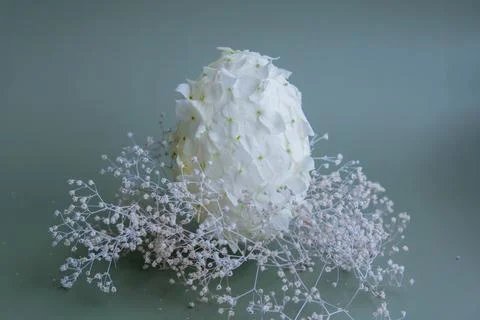 Easter egg made of white lilac spring flowers in pastel green background Stock Photos