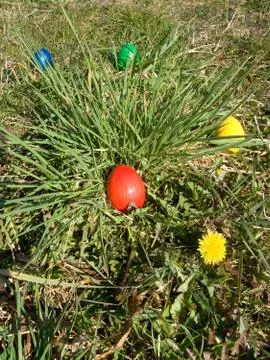 Easter egg in meadow Stock Photos