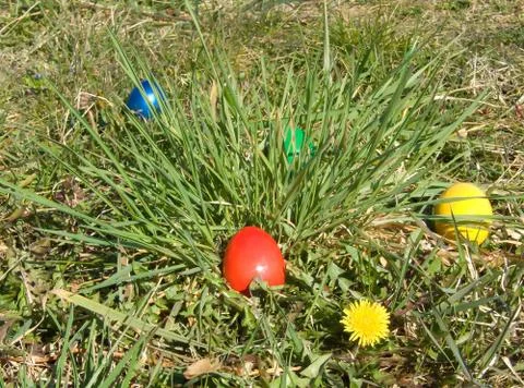Easter egg in meadow Stock Photos