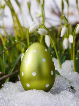 Easter egg meadow snowdrop Foto stock