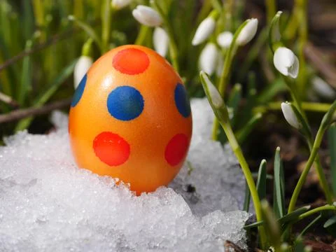 Easter egg meadow snowdrop Stock Photos