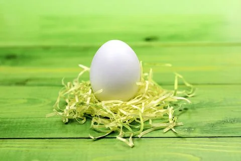 Easter egg in the nest on a green background.Postcard with space for text Stock Photos