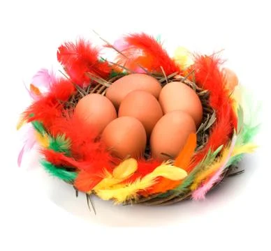 Easter egg in nest isolated on white background Stock Photos