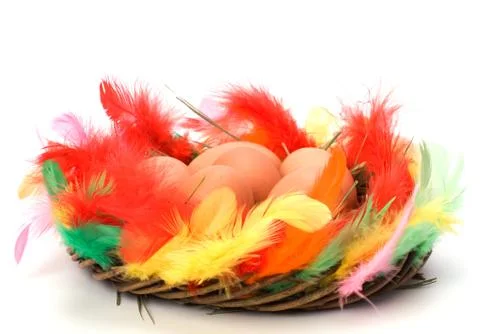 Easter egg in nest isolated on white background Stock Photos