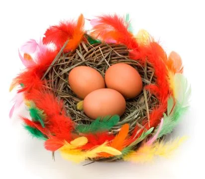 Easter egg in nest isolated on white background Stock Photos