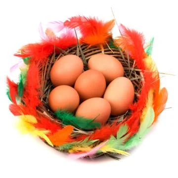 Easter egg in nest isolated on white background Stock Photos