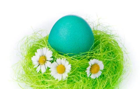 Easter egg in nest Stock Photos