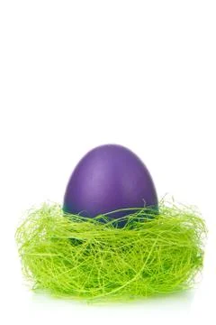Easter egg in nest Stock Photos