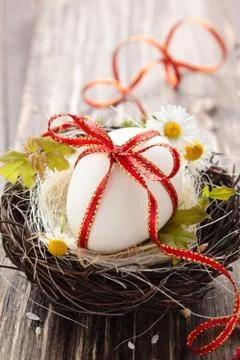 Easter egg in nest. Stock Photos