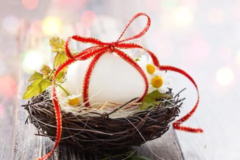 Easter egg in nest. Stock Photos