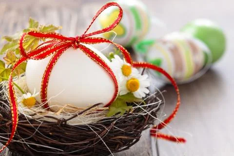 Easter egg in nest. Stock Photos