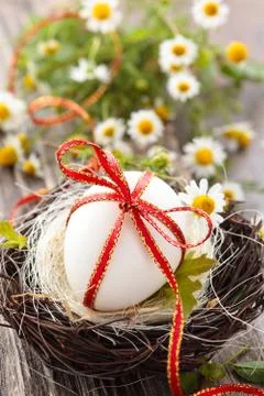 Easter egg in nest. Stock Photos