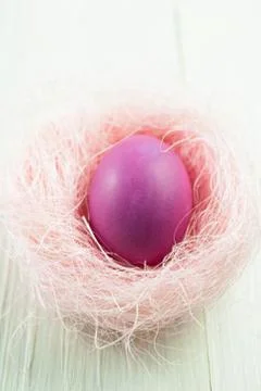 Easter egg in nest Stock Photos