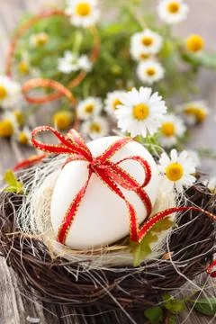 Easter egg in nest. Stock Photos