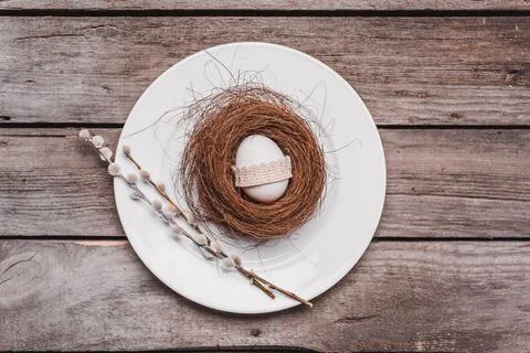 Easter egg in nest Stock Photos