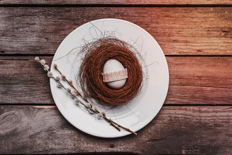 Easter egg in nest Stock Photos