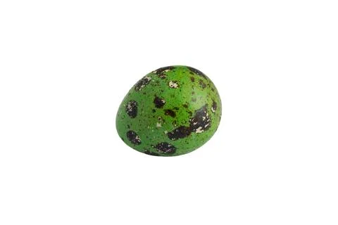Easter Egg, one green colored quail egg Stock Photos