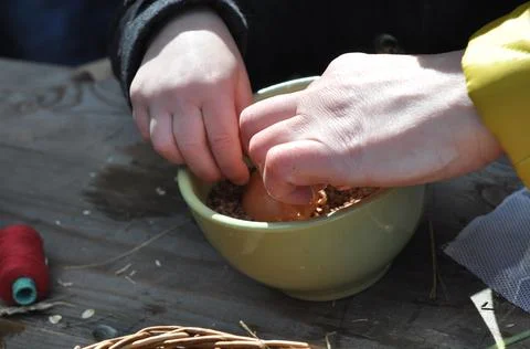 Easter egg painting process. Using natural ingredients - onion bark 스톡 사진