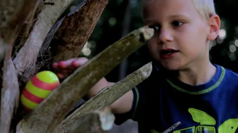 Easter Egg in Palm Tree - Boy Finds Stock Footage 8986213