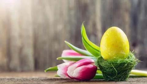 Easter egg panettone bread cake background Happy easter spring holiday tulip Stock Photos
