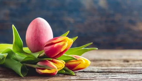 Easter egg panettone bread cake background Happy easter spring holiday tulip Stock-Fotos