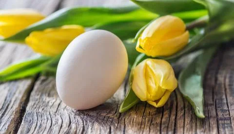 Easter egg panettone bread cake background Happy easter spring holiday tulip Stock Photos