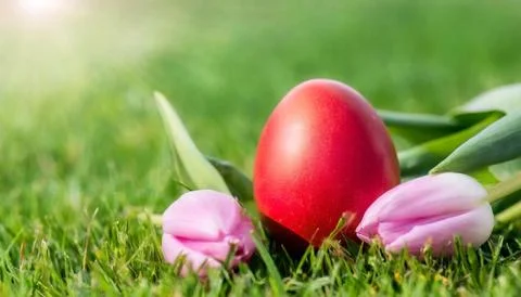 Easter egg panettone bread cake background Happy easter spring holiday tulip Foto stock