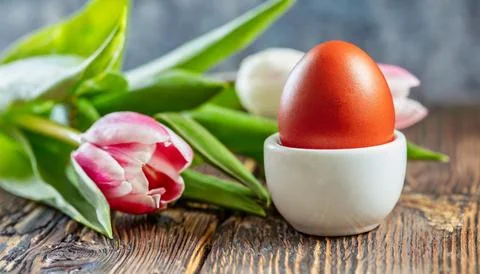 Easter egg panettone bread cake background Happy easter spring holiday tulip Stock Photos