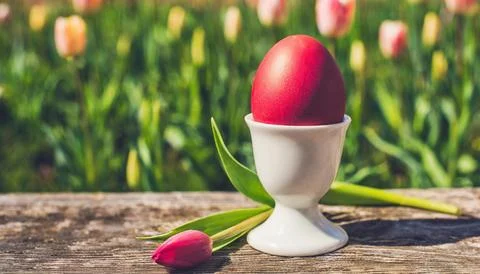 Easter egg panettone bread cake background Happy easter spring holiday tulip Stock Photos