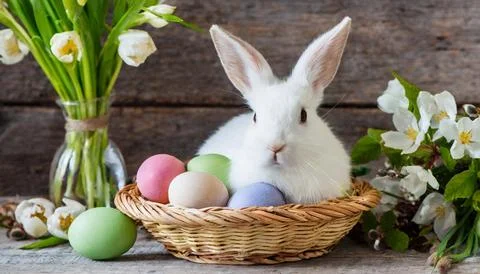 Easter egg panettone bread cake background Happy easter spring holiday tulip Stock-Fotos