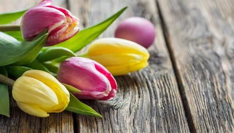 Easter egg panettone bread cake background Happy easter spring holiday tulip Stock Photos