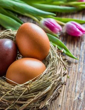 Easter egg panettone bread cake background Happy easter spring holiday tulip Stock Photos