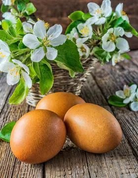 Easter egg panettone bread cake background Happy easter spring holiday tulip Stock Photos