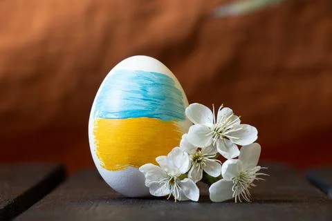 Easter egg with a pattern of the flag of Ukraine, with a blossoming branch of Stock Photos