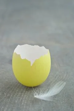 Easter egg Foto stock