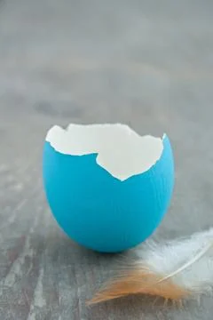 Easter egg Stock Photos