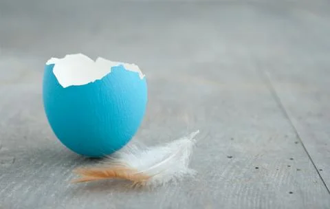 Easter egg Stock Photos