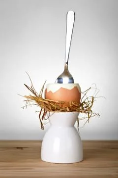 Easter egg Stock Photos