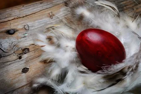 Easter egg Stock-Fotos