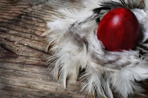 Easter egg Fotos de archivo